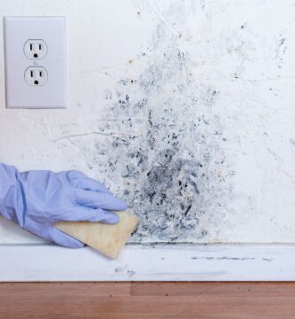 black mold