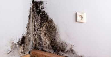 Preventing Mold