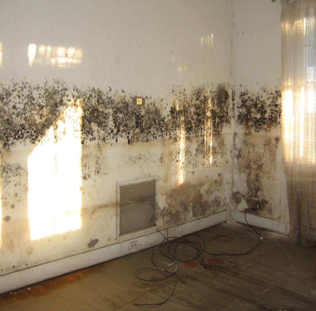 MoldyLivingroom