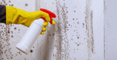 natural-mold-products