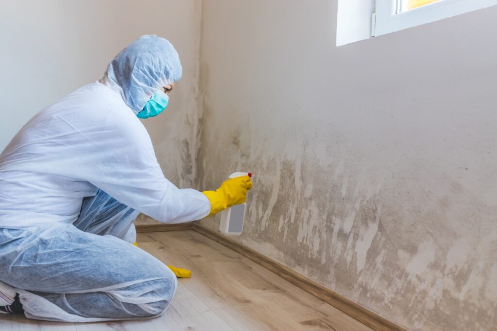 Preventing Mold