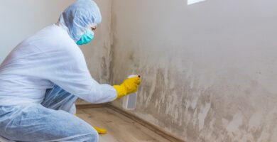 Preventing Mold